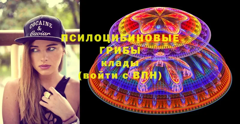 Псилоцибиновые грибы Magic Shrooms  Александров 